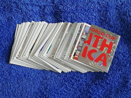 Panini 2010 south - wm,